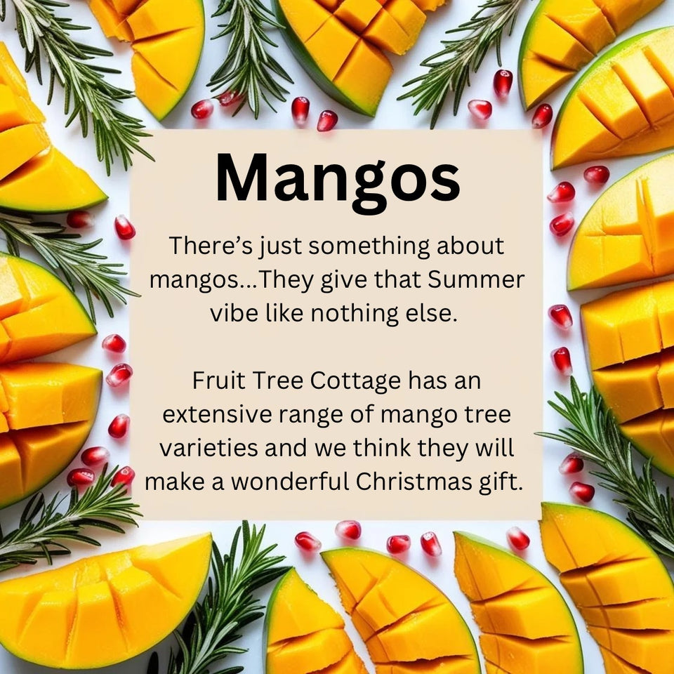 Mango Madness!