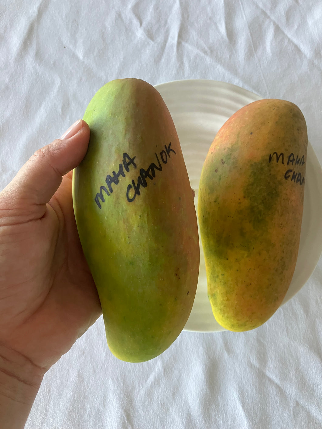 Dwarf Mango | King Thai