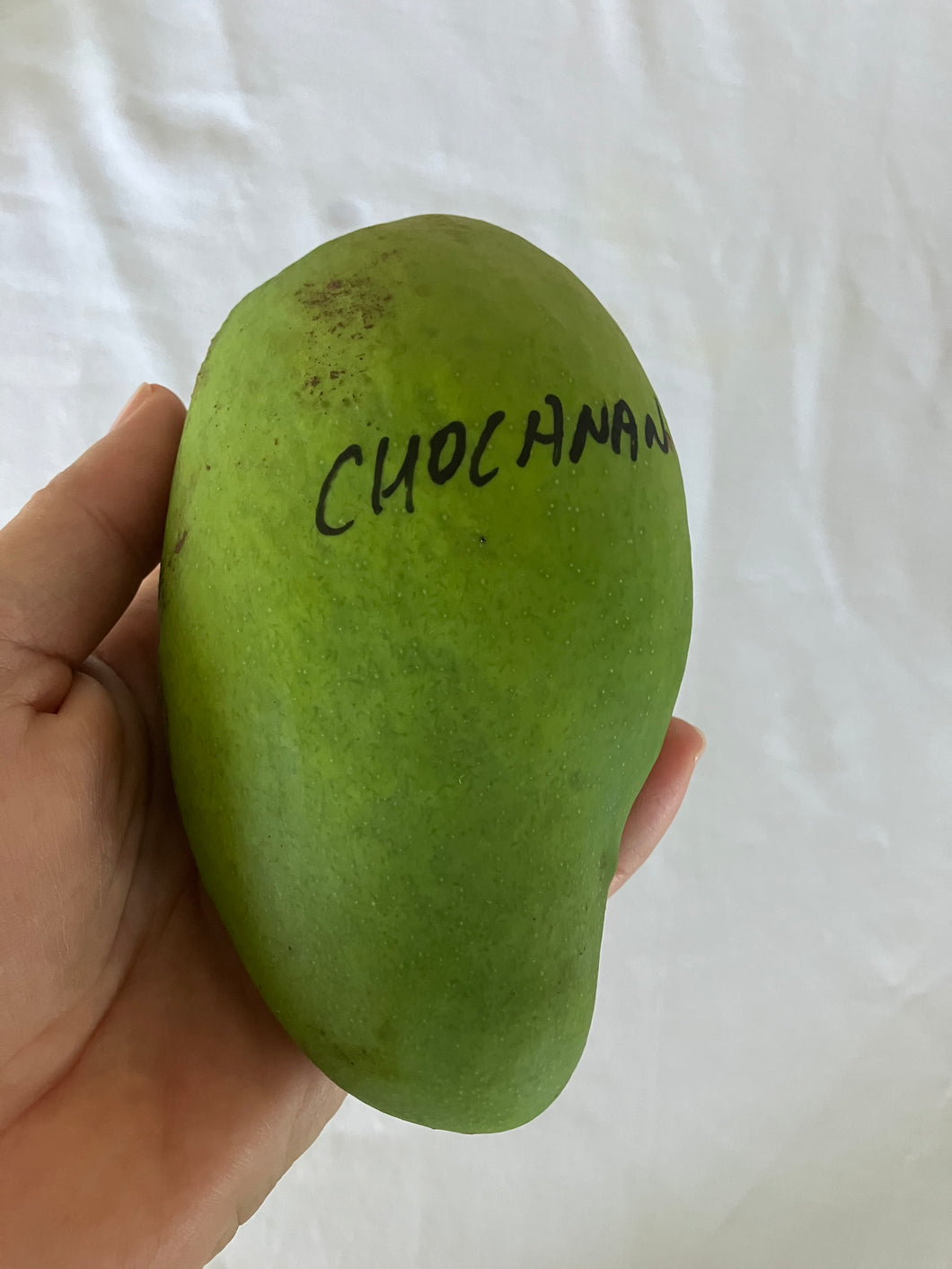 Mango | Choc Anon