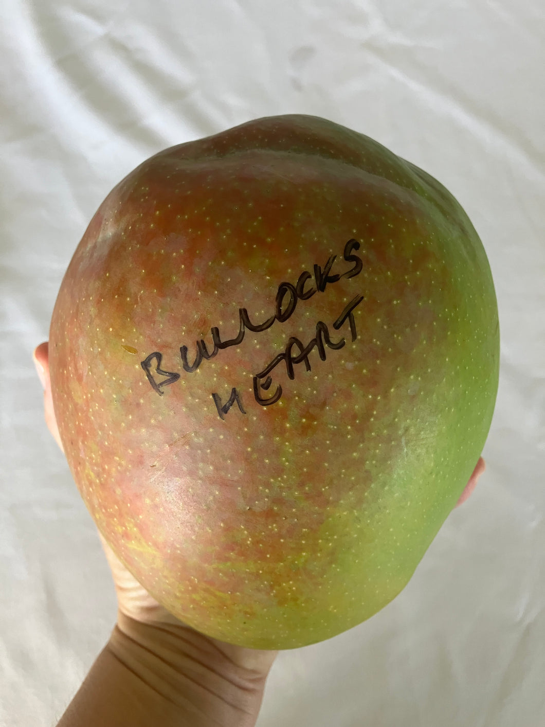 Mango | Bullocks Heart