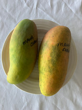 Load image into Gallery viewer, Dwarf Mango | King Thai
