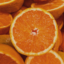 Load image into Gallery viewer, Citrus Bundle | Citrus Orchard Starter
