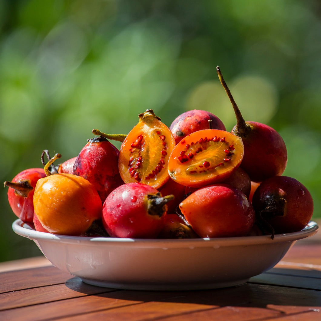 Tamarillo | Red Tamarillo