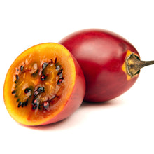 Load image into Gallery viewer, Tamarillo | Red Tamarillo
